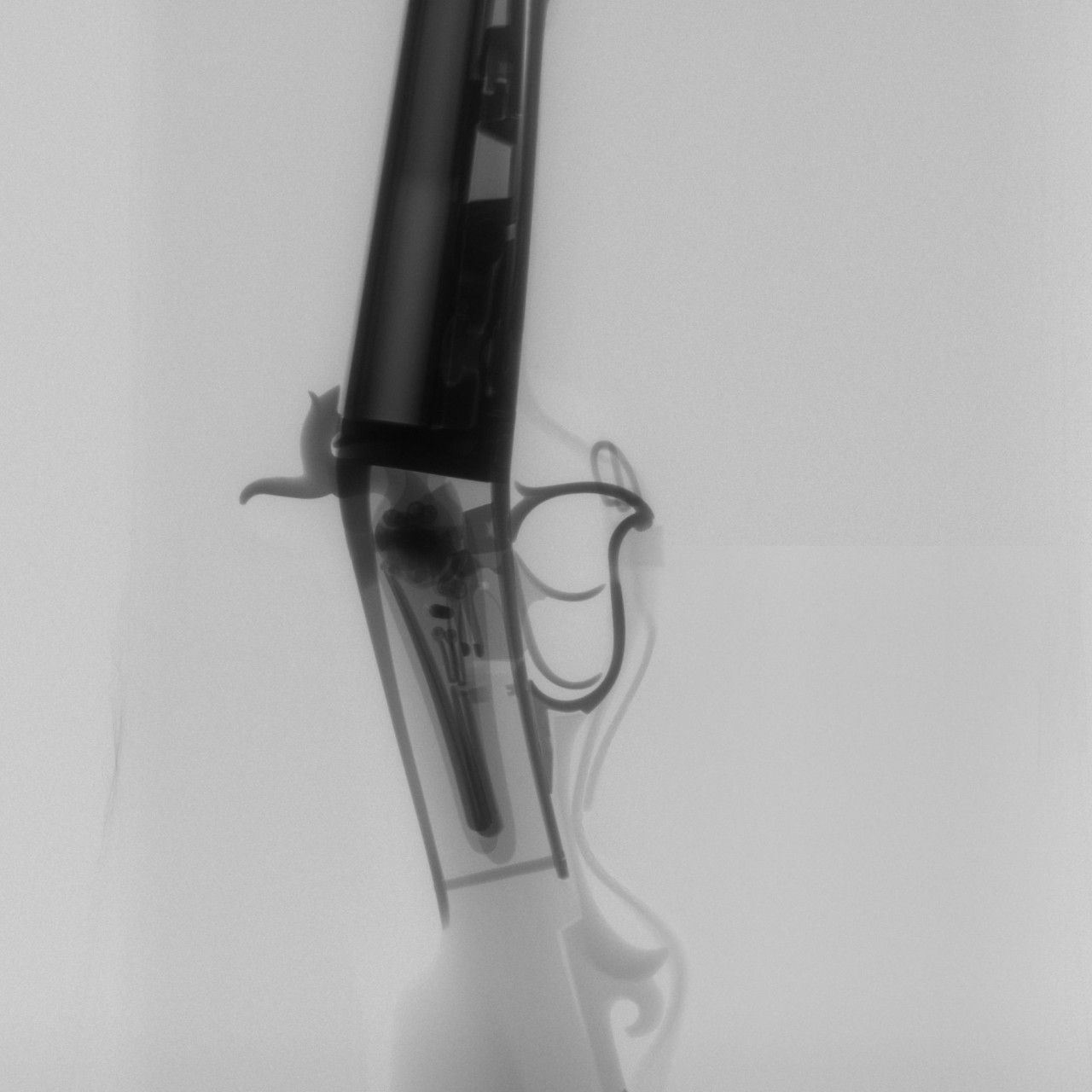 Röntgenaufnahmen eines Jagdgewehrs aus dem Besitz von Wilhelm Conrad Röntgen.