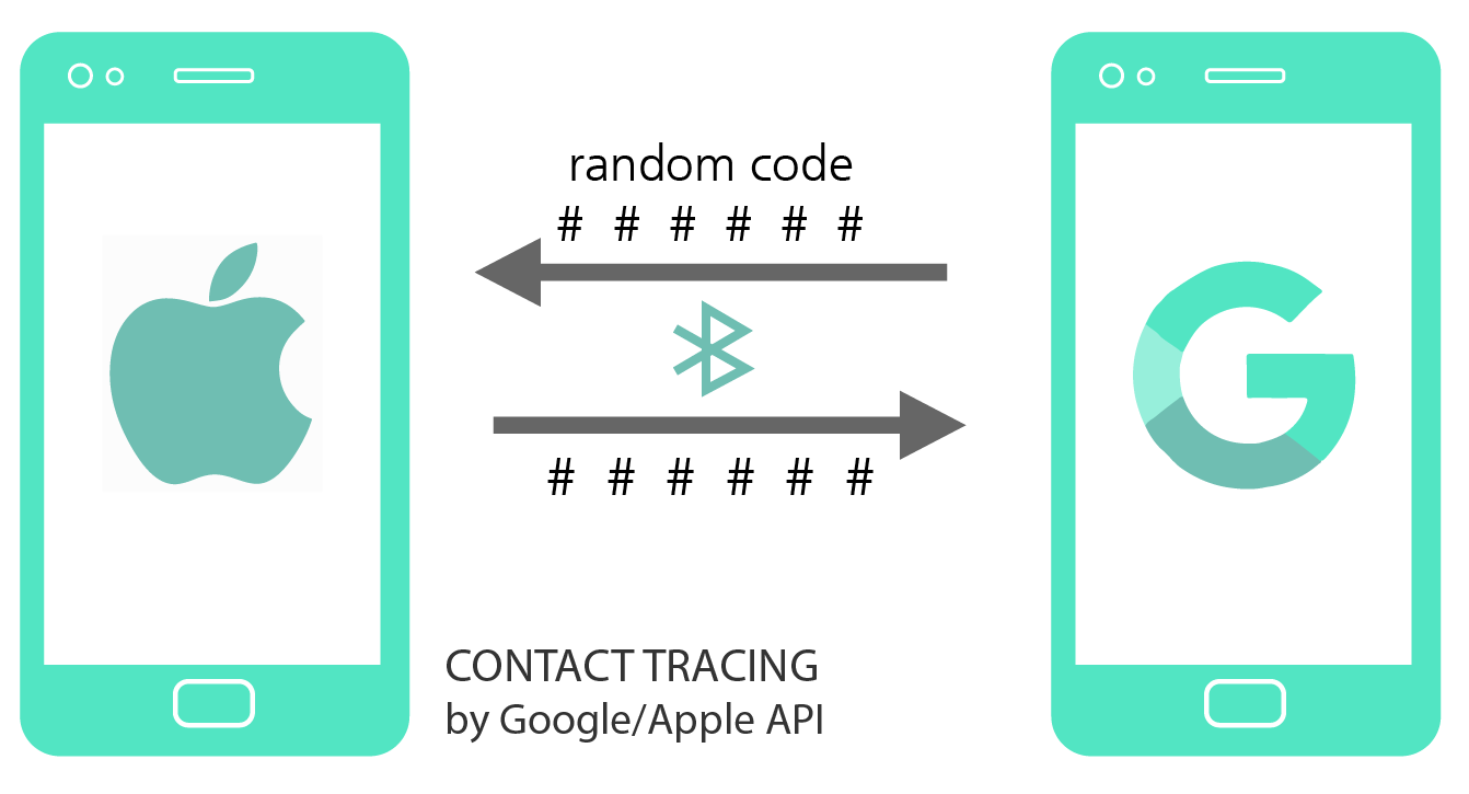 Functionality of Contact Tracing of two smartphones with the exposure notification API.