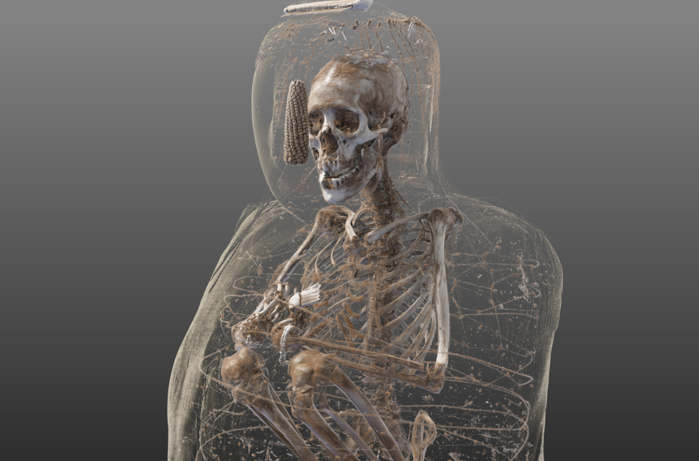 Hochaufgelöste CT-Aufnahmen einer Peruanische Mumie 